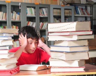 Standardized Testing: Twelve Steps Toward Student Success