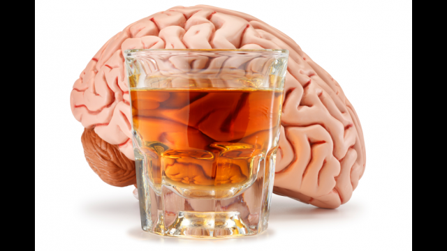 Focus on Teen Misbehavior