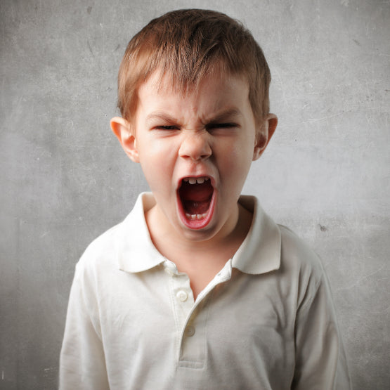 Oppositional Defiant Disorder in Children By Leah Davies, M.Ed.