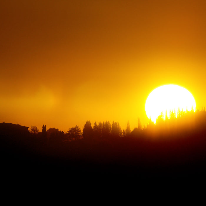 5 Easy Ways to Simplify Your Morning Routine