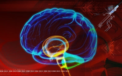 Large Study Discovers Connection between Teenage Brains, Drug Abuse