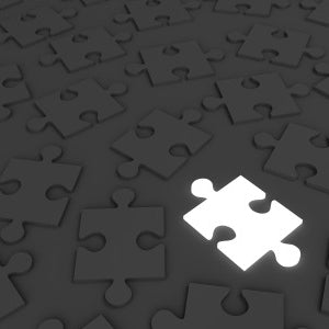 Ann Bauer on the ‘New Autism Reality’