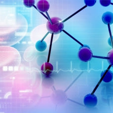 Study between Autism and Immune System