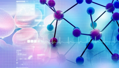 Study between Autism and Immune System