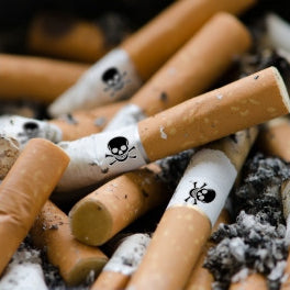 Teens, Smoking, and the Movies: Why Motion Picture Rating Matters