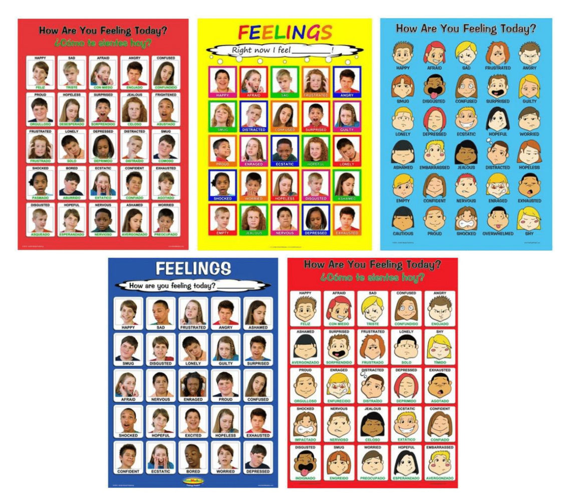 Laminated Feelings Poster Set (Set of 5)