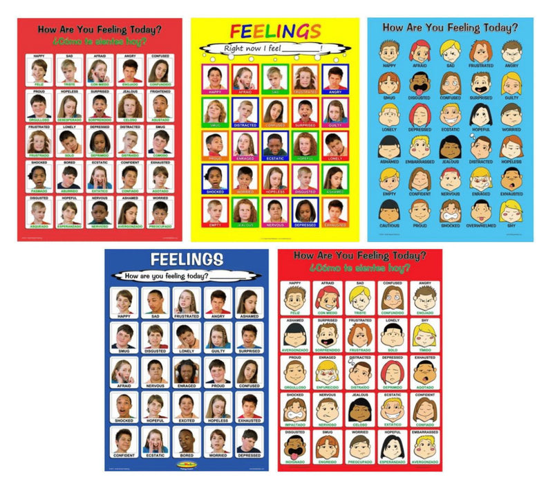 Laminated Feelings Poster Set (Set of 5)
