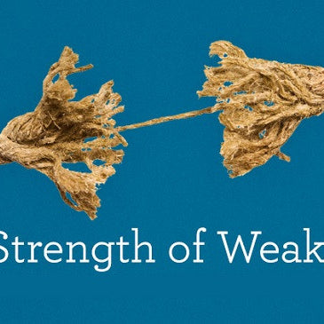 Strengthening The Weaknesses by Donna Hammontree