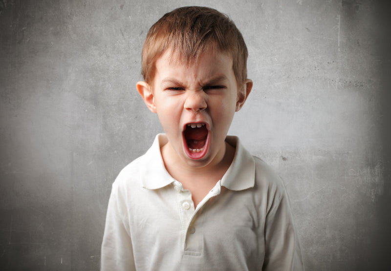 Oppositional Defiant Disorder in Children By Leah Davies, M.Ed.