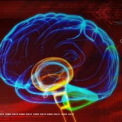 Large Study Discovers Connection between Teenage Brains, Drug Abuse