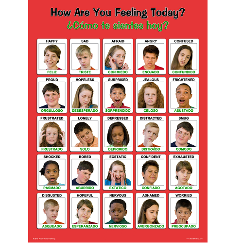 Laminated Spanish / English Youth Feelings Poster 18 x 24 inches product image