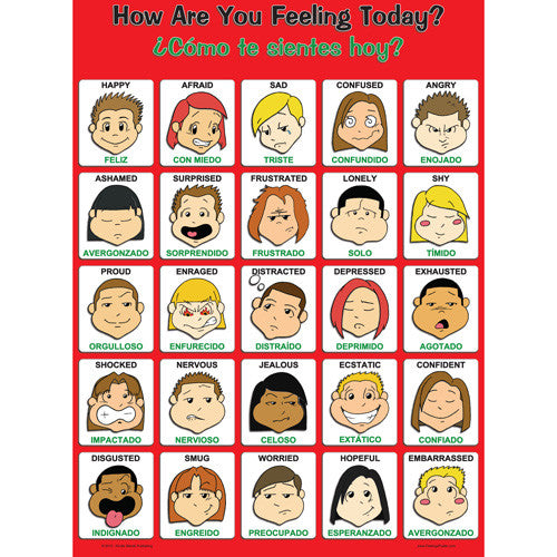 Laminated Spanish/English Feelings Poster, with Graphics