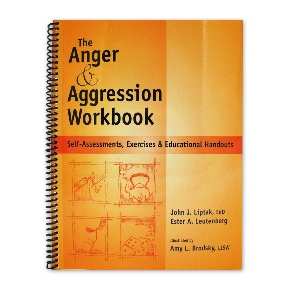 The Anger and Aggression Workbook product image
