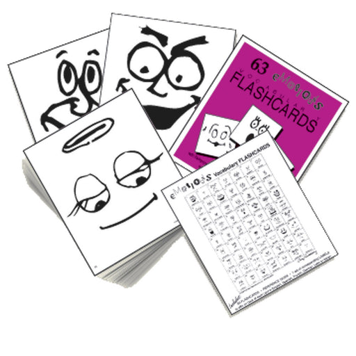 Emotions Vocabulary Flashcards product image