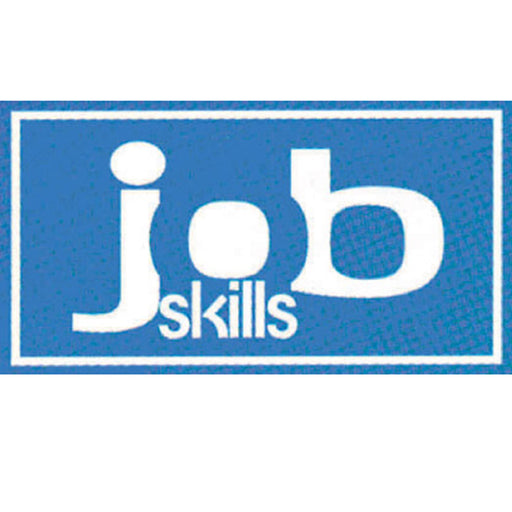 Job Skills Cards product image