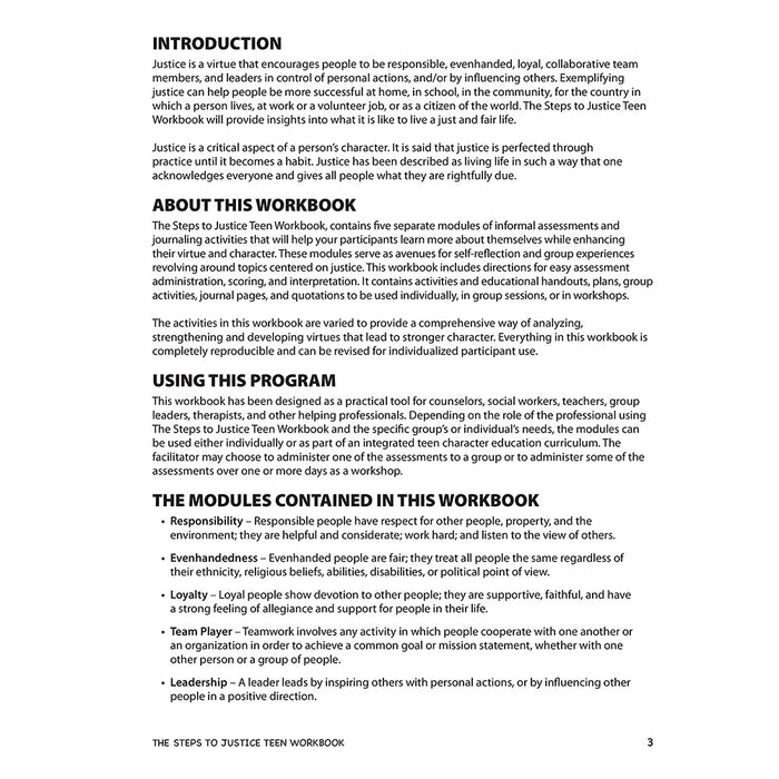 The Steps to Justice Teen Workbook