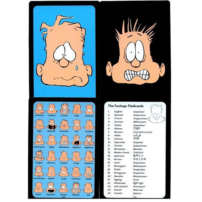 The Feelings Flashcards (in 25 languages) product image
