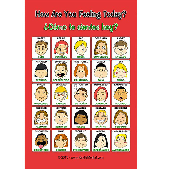 Mini Spanish/English Feelings Poster with Graphics Set of 12 product image