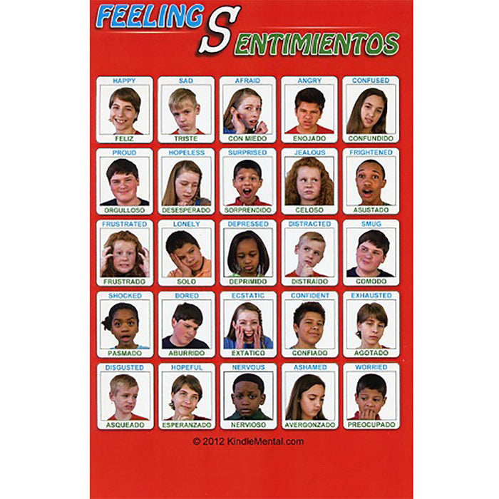 Mini Spanish/English Youth Feelings Poster Set of 12 product image